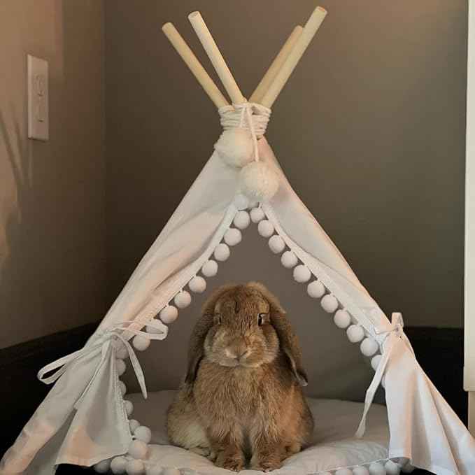 MINICAMP Pet Teepee Tent with Padded Mat – Cozy Cotton Hideaway Tent for Rabbits, Puppies, Cats & Guinea Pigs – Pet Accessories for Indoor - Made in EU XS