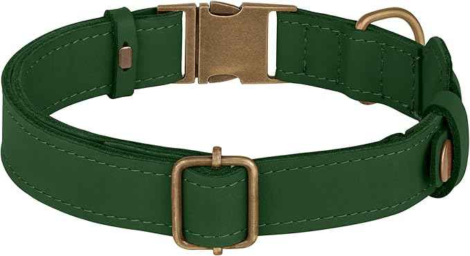AirTag Dog Collar - Genuine Leather Dog Collar with Apple AirTag Holder and Metal Buckle - Smart GPS Tracking Pet Collars (Dark Green, L, 17"-21" Neck Fit)