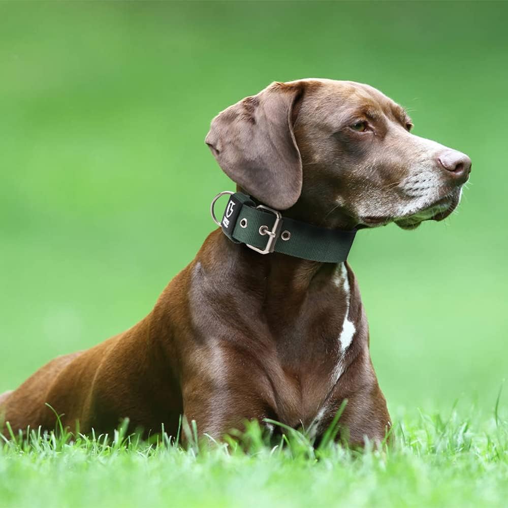 TSPRO Tactical Dog Collar 1.5 Inch Wide Thick Dog Collars with Heavy Duty Metal Buckle, Durable, Strong, Adjustable for Medium to Large Dogs (Green L)