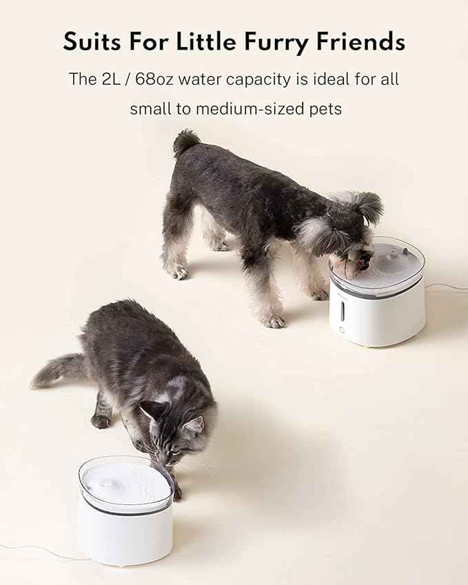 HomeRunPet Silent Cat Water Fountain, 68 oz/2L, Pet Fountain Wireless Pump, Dog Water Dispenser, Dual Mode, Quick Assembly & Easy-Clean, Filters Included