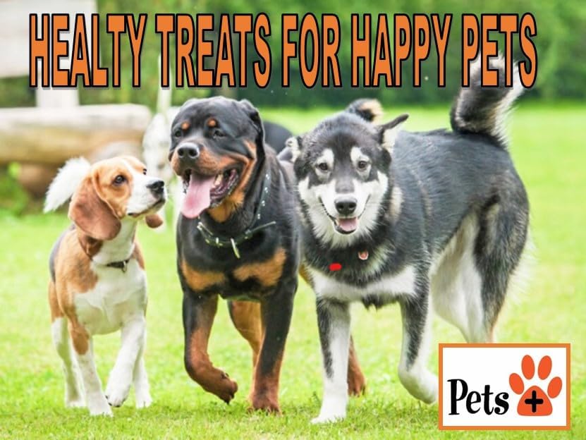 Pets Plus Premium Dog Treats – Lamb Lung Wafers, 8 oz | All-Natural, High-Protein, Grain-Free Dog Treats, Healthy Training Rewards & Crunchy Chews