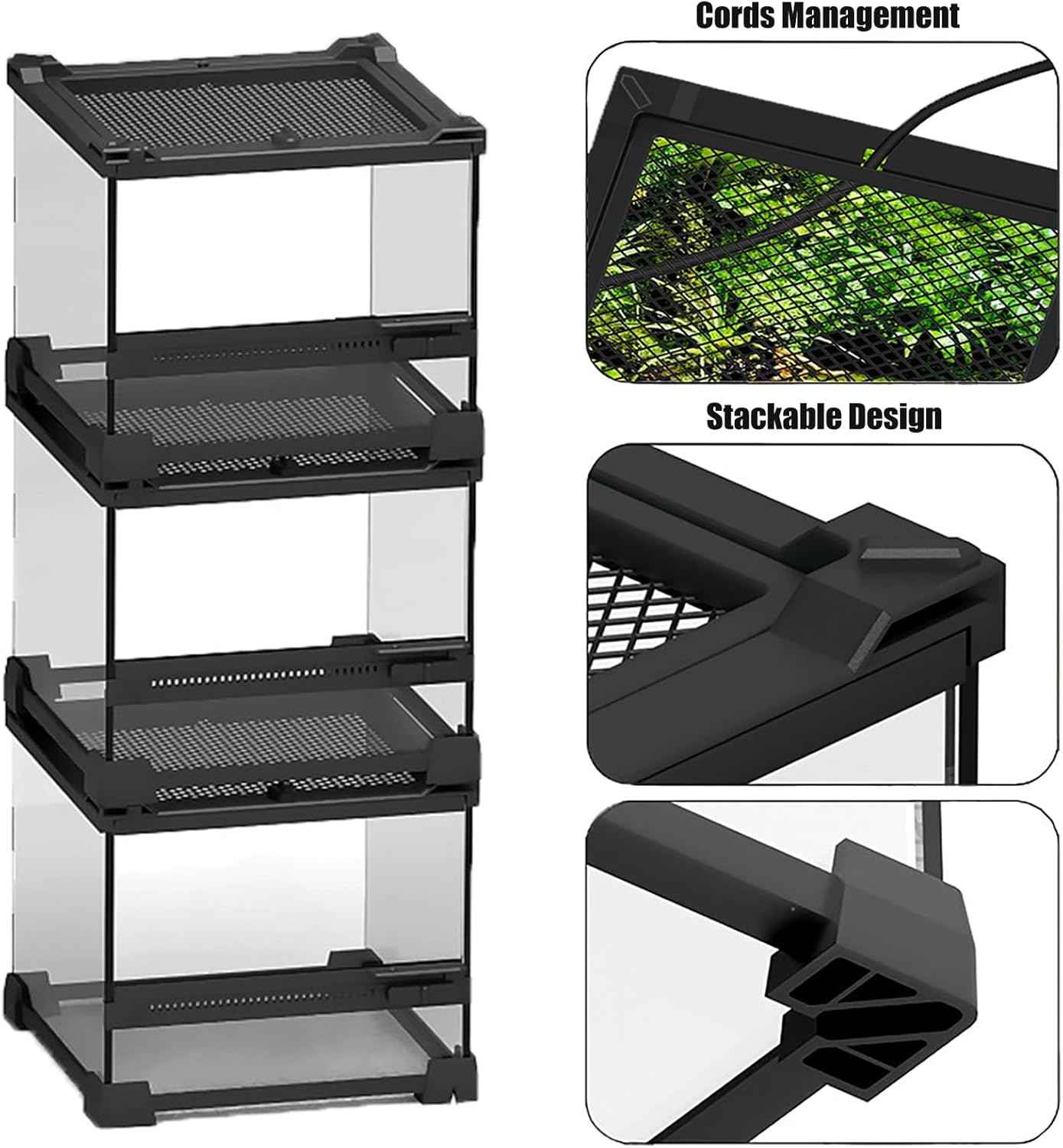 Woyrise Reptile Glass Terrarium Tank 8"x8"x5.7", Front & Top Opening Door Full View Visually Appealing Mini Reptiles or Amphibians Habitat, Stackable Enclousure for Small Reptiles