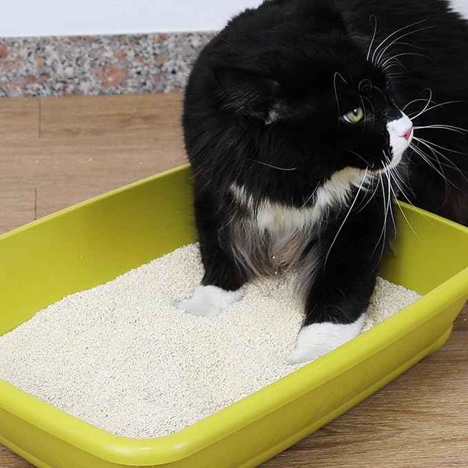 Croci Tofu Clean Litter 6L - Clumping Cat Litter, Biodegradable, flushes Down The Toilet, 100% Vegetable, Long Lasting Anti-Odor Sand