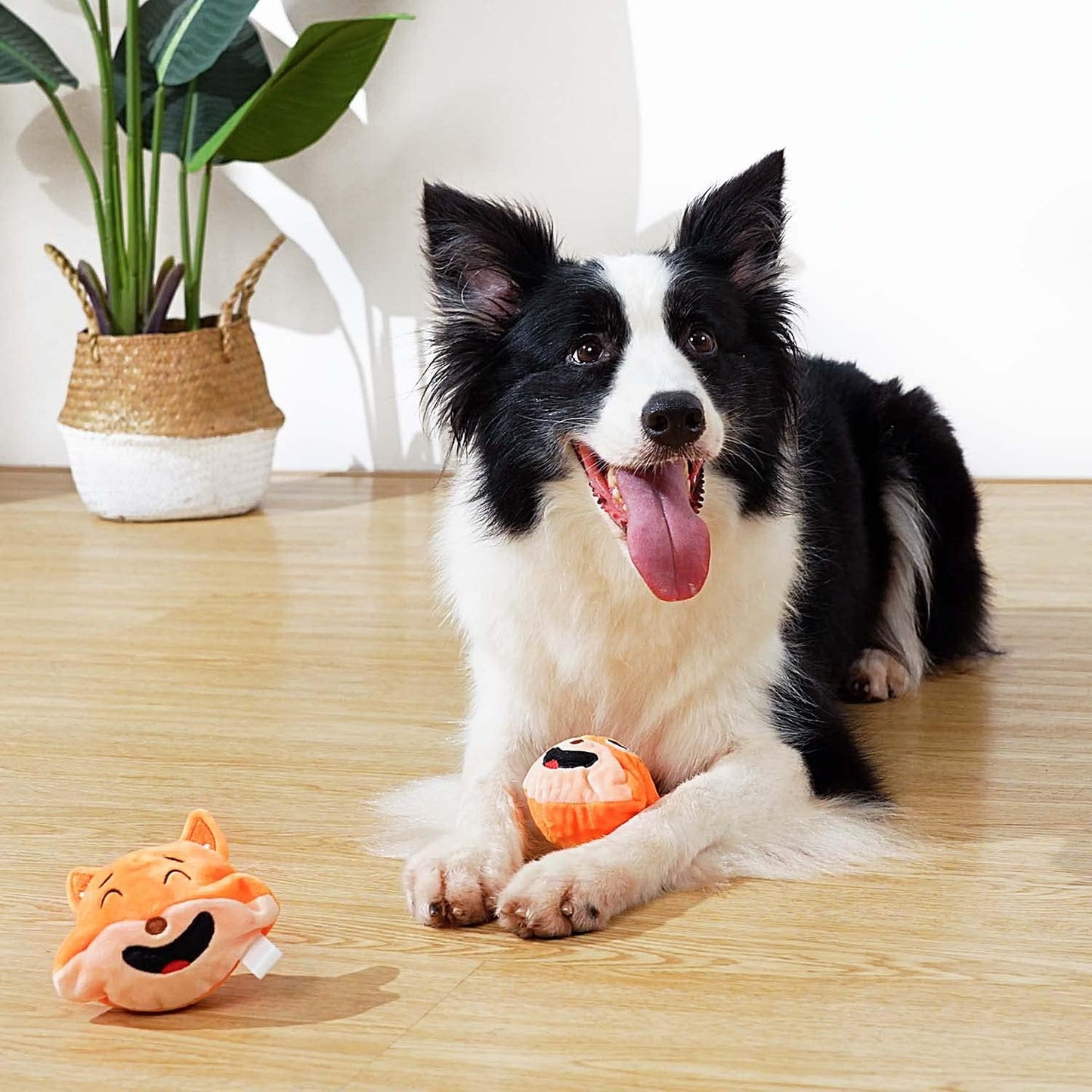 MewaJump Squeaky Dog Toys with Ball 3-in-1 Plush Cute Chew Toy with 3 Layers Puzzle Pet Toy for Teeth Cleaning Puppy Enrichment for Small and Medium Breed (Fox)