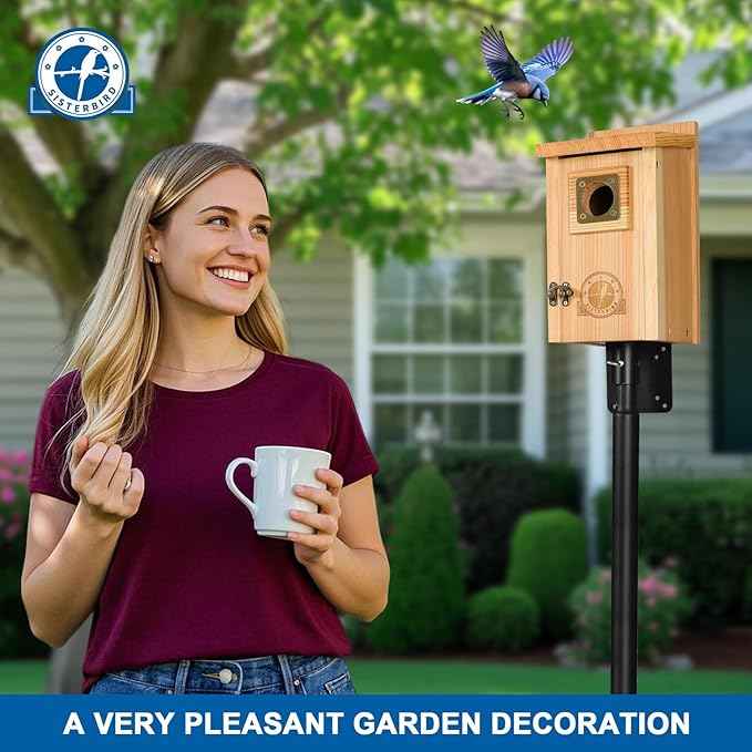 2 Pack Bird Houses for Outside Clearance with Copper Guard, Cedar Bird House Outdoor, Bluebird Finch Swallow Wren Chickadee Assembly Required