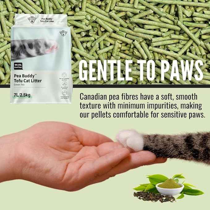 Pea Based Cat Litter, Dust Free Cat Litter, Low Tracking, and Natural Odor Control, Scented, Flushable (1 Pack, Green Tea)