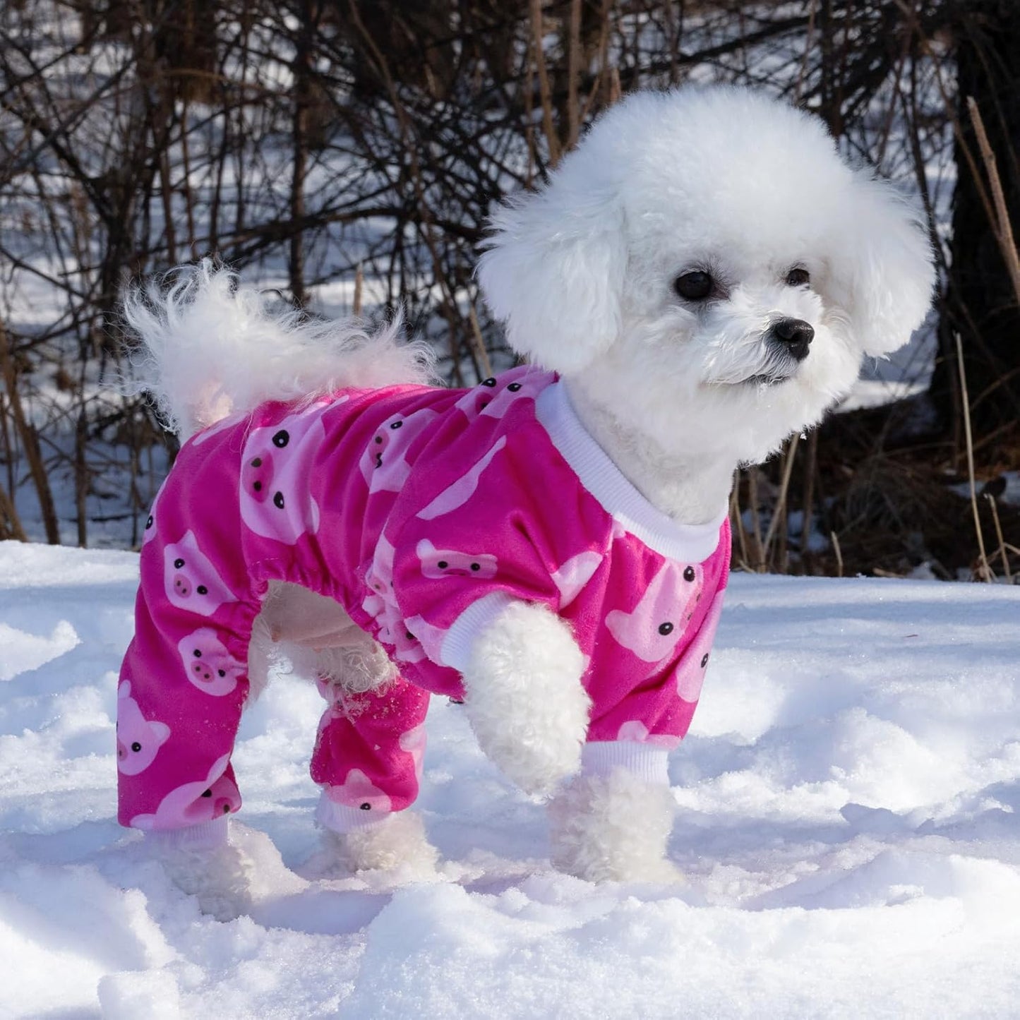 CuteBone Dog Halloween Pajamas Puppy Onesies Small Dogs Soft Pjs Coat Cat Apparel Comfy Pet Christmas Clothes Outfit Doggie Bodysuit P46XL