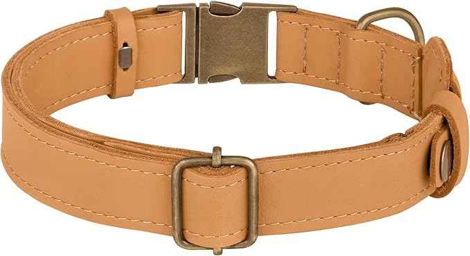 AirTag Dog Collar - Genuine Leather Dog Collar with Apple AirTag Holder and Metal Buckle - Smart GPS Tracking Pet Collars (Light Brown, XS, 9"-12" Neck Fit)