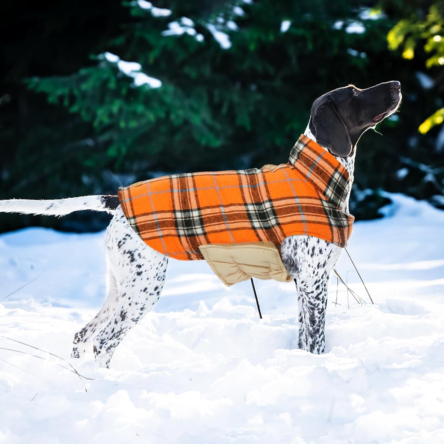Kuoser Waterproof Dog Coat, Reversible Dog Jacket for Large Dogs, Adjustable Durable Doggie Winter Coat for Groowing Puppies Warm Puppy Cold Weather Apparel, Orange L