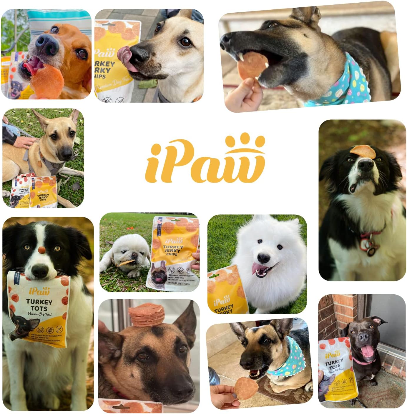 iPaw Turkey Chips Dog Treats for Puppy Training, All Natural Human Grade Dog Treat, US Sourced Raw Material, Hypoallergenic, Easy to Digest (Turkey Chips), 2 Packs