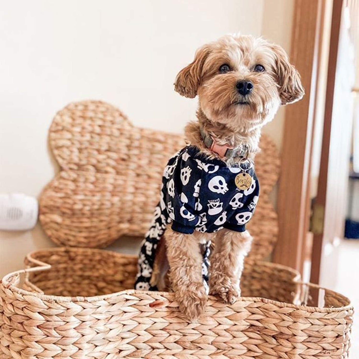 CuteBone Dog Halloween Pajamas Puppy Onesies Small Dogs Soft Pjs Coat Cat Apparel Comfy Pet Christmas Clothes Outfit Doggie Bodysuit P11XS