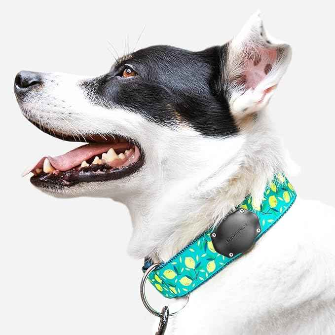 Elevation Lab AirTag Dog Collar Holder - TagVault™ - Secure Thru-Mount, IP69 Waterproof, Doesn't Dangle, Fits All Width Collars (4 Pack)