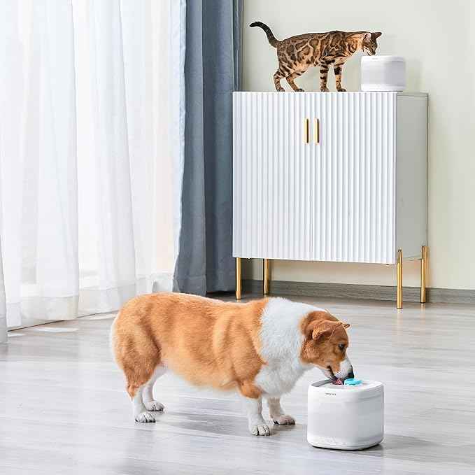PAWGETHERยฎ 3Pcs Cat Water Fountain Filter Compatible with 67oz/2L Dog Water Fountain P3/P3s/P3SU Pet Water Fountain Replacement Filter