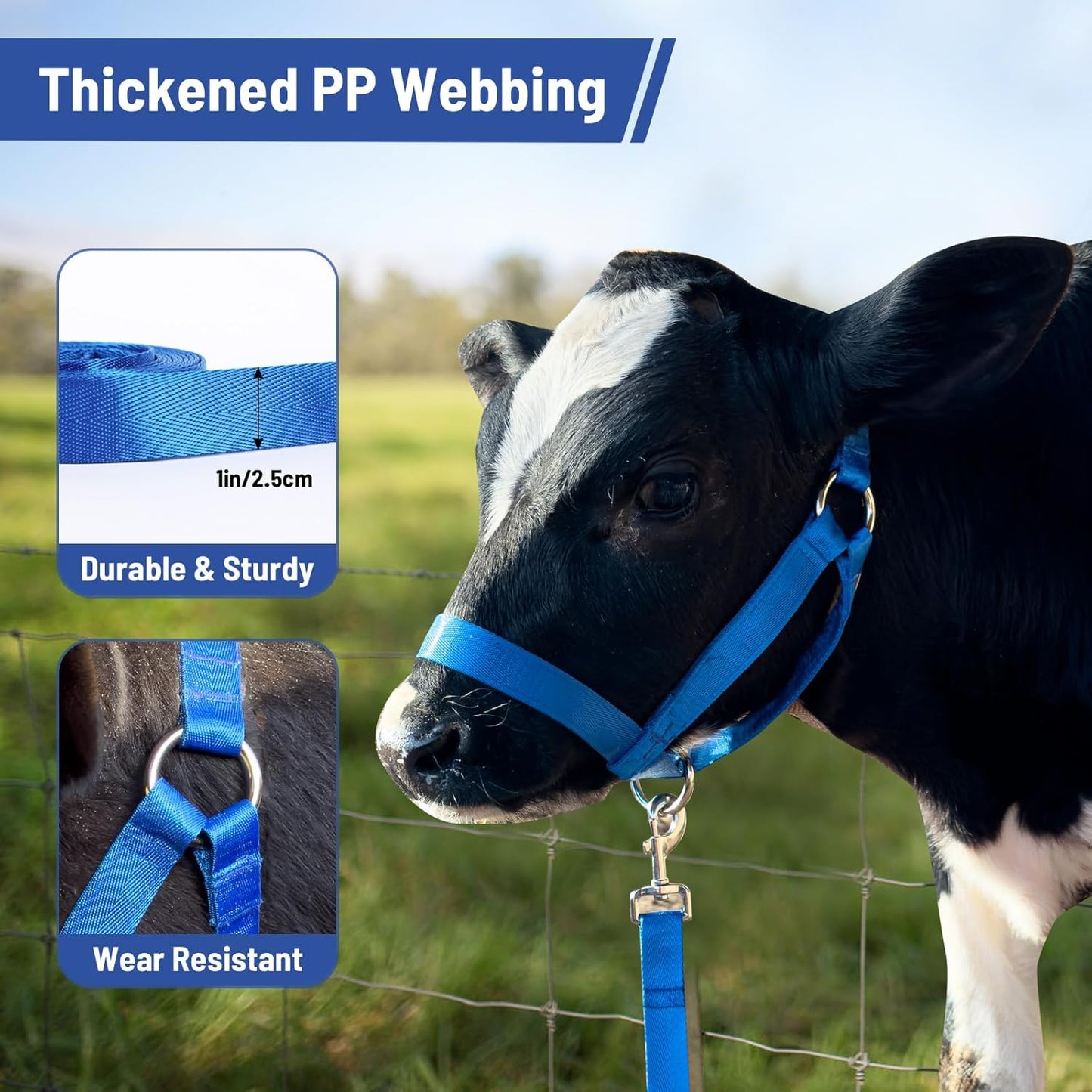 XUANNIAO Easily Adjustable Figure 8 Cow Halter, Double-Ply Premium Livestock Cattle Halters, Colorful Cow Utility Calf Halter with Leading Rope for Miniature Horse Donkey Goat Foal (Small, Blue)