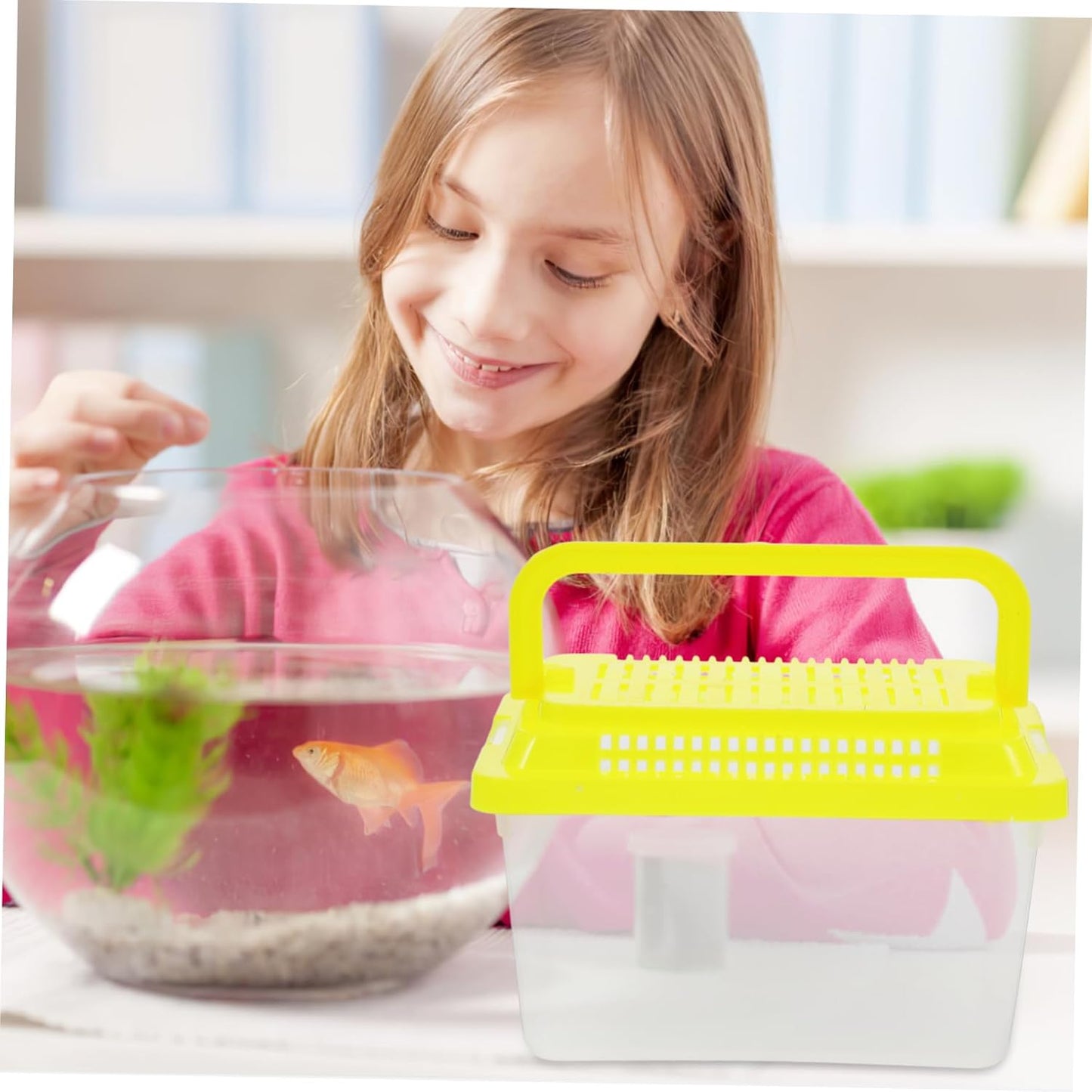 Transparent Plastic Turtle Fish Tank, Reptile Carrier, Feeding Tank, Glass Containers, Amphibia Container, Terrarium, Hamster Cages, Reptiles Commodity Mini - FurryFun