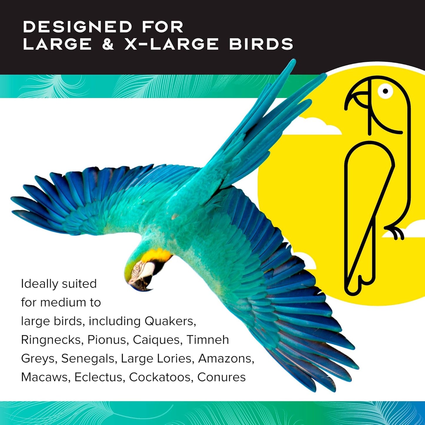 Paradise Toys Bird Creative Foraging System Wheel, Spins with Food Inside, 6” Diameter