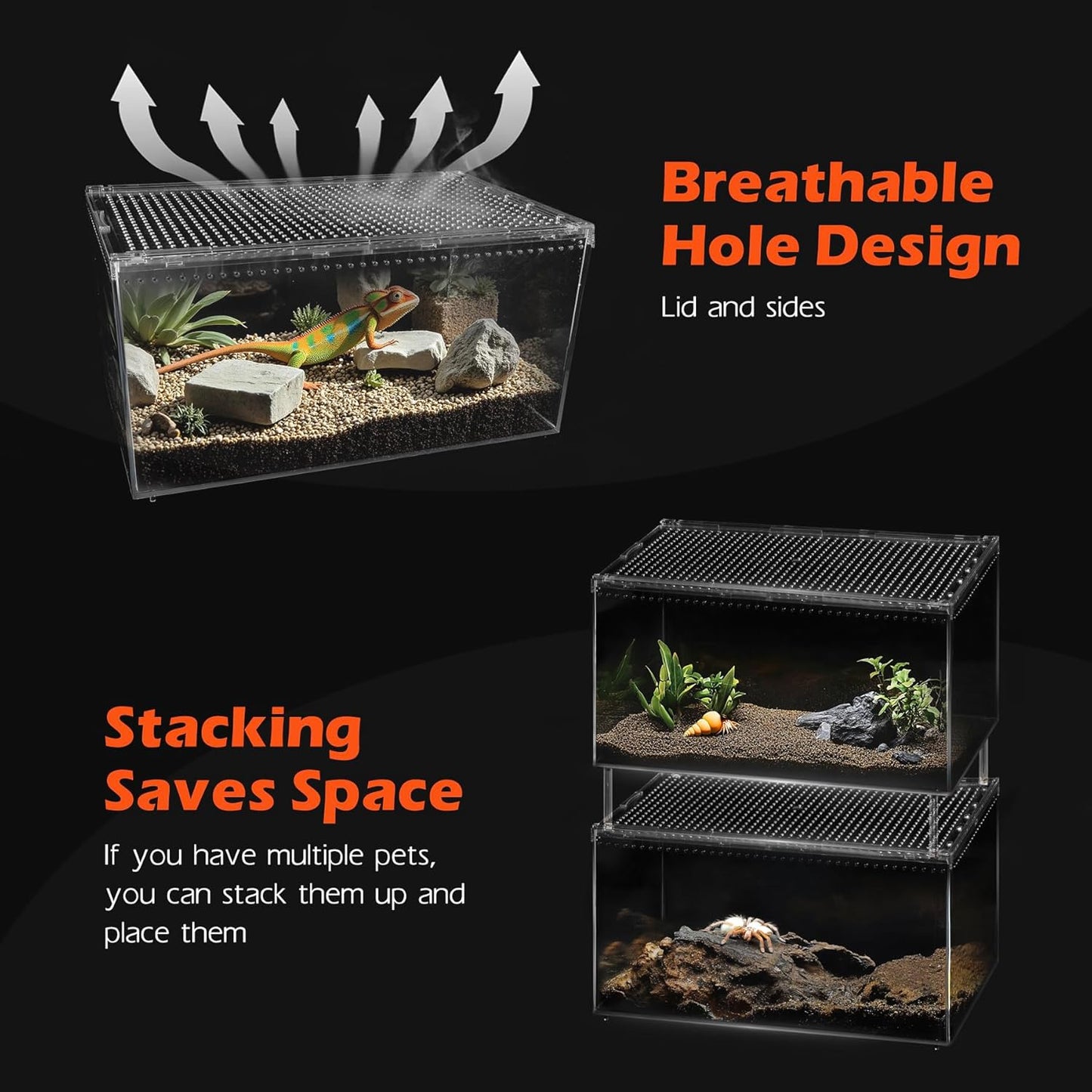 AZV Reptile Terrarium Tank,Versatile Enclosure for Leopard Crested Gecko,Lizard Cage,Spider Starter Kit,Hermit Crab Habitat,Tarantula Cribs,Perfect Aquarium for Snake,Frogs,Snails,Insects,Small Pets - FurryFun