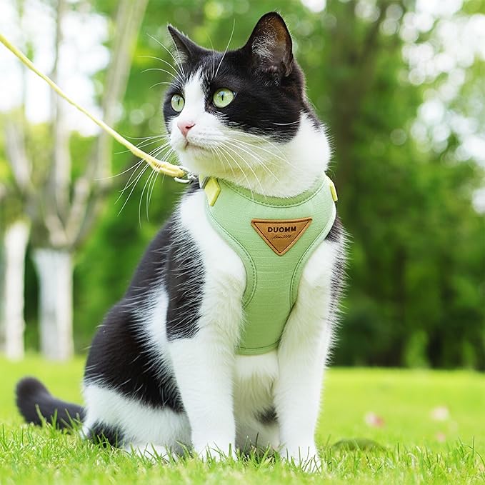 Escape-Proof Cat Harness and Leash Set - Adjustable and Comfortable - Ideal for Walking Cat Outdoors - Fits Small Dogs, Kittens, Medium, and Large Cats (Green, XS)