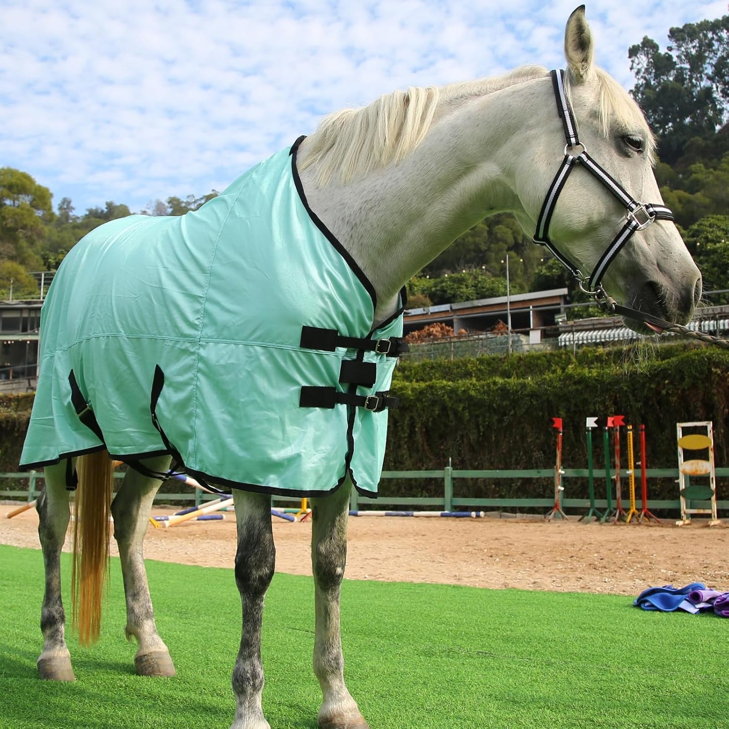 Horse Fly Sheet, Standard Neck Comfy Mesh Fly Sheet for Horses, Equine Summer Sheets UV-Protective Green 72