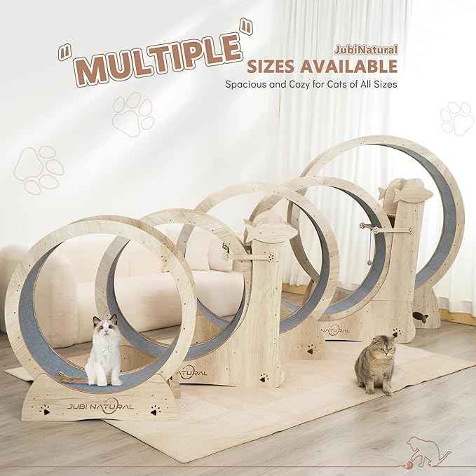 Cat Exercise Wheel, 43" Cat Running Wheels for Indoor Cats with with Locking Mechanism, Cats Treadmill Wheels with Scratching Board and Teaser Toy, Cat's Weight Loss and Health