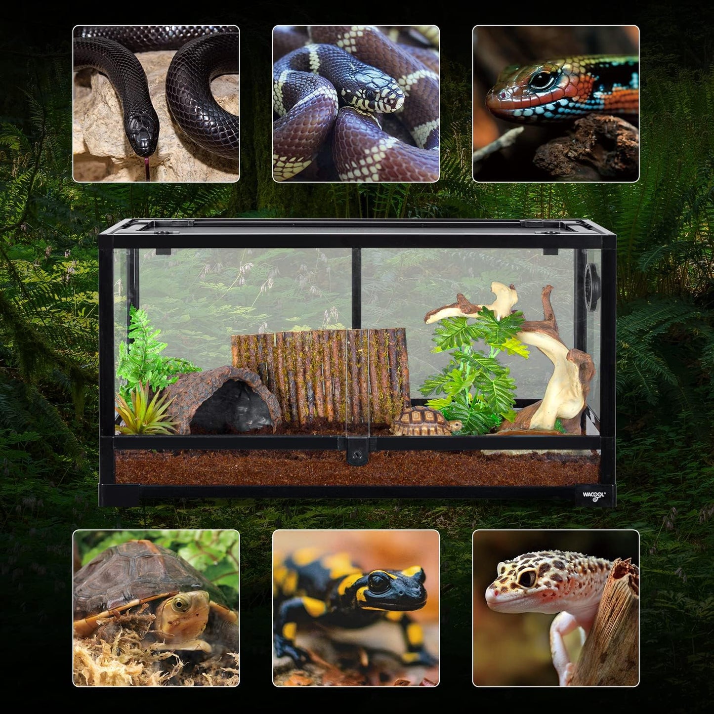 Large Reptile Tank 25 Gallon, 360°Full Vision Glass Reptile Terrarium with Top Mesh Lid for Beaded Dragon Lizard Gecko Snake Hermit Crab Use, 30"(W) X 12"(D) X 16"(H) - FurryFun