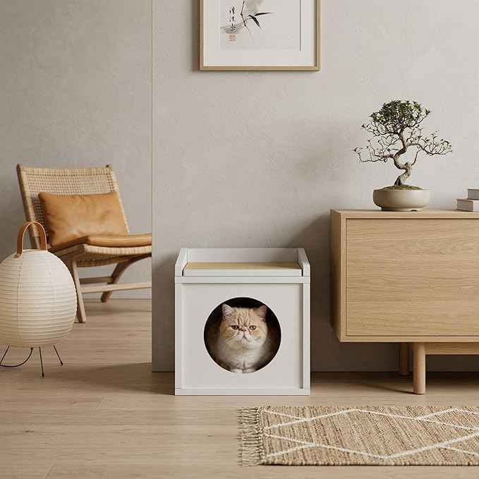 Meowdium Cat House – Cat Condo with Cardboard Scratcher, Scratching Post, Bed & Toy Storage, Cozy Cat Furniture & Accessories for Indoor Cats, White
