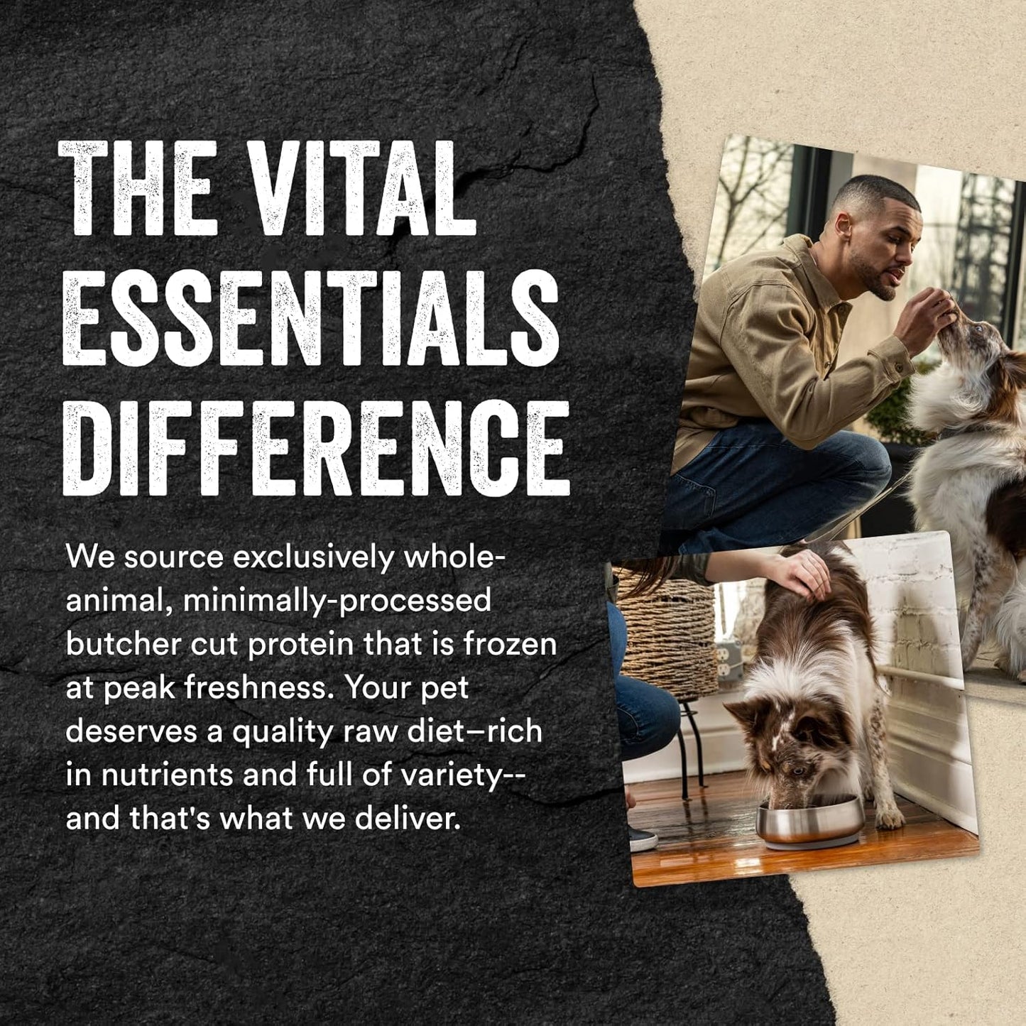 Vital Essentials Chicken Breast Dog Treats, 3.75 oz | Freeze-Dried Raw | Single Ingredient | Premium Quality High Protein Training Treats | Grain Free, Gluten Free, Filler Free