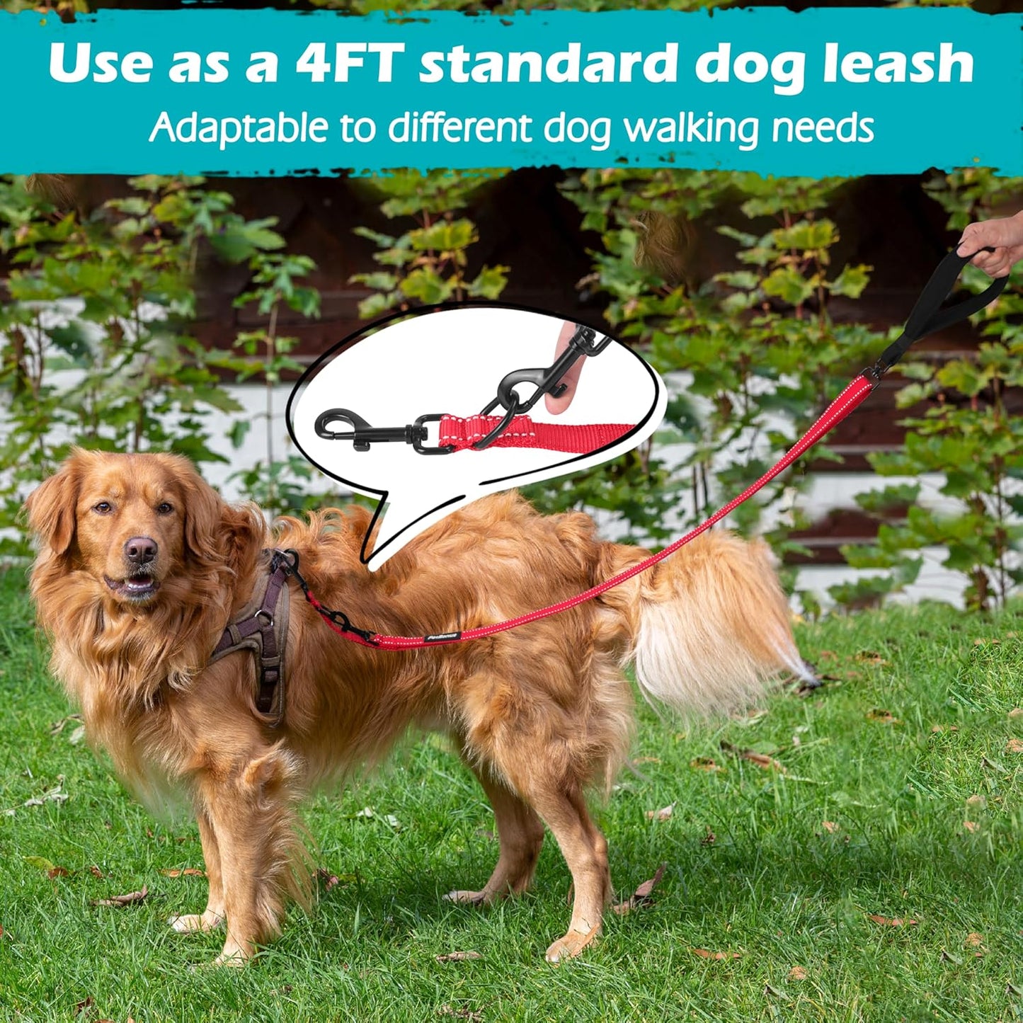 PetBonus Two Point Control Dog Leash, Works with No Pull Harnesses, No Tangle Dog Training Leashes, No Pull Padded and Reflective Walking Lead,Converts to Single Leash for Medium Large Dogs (Red)