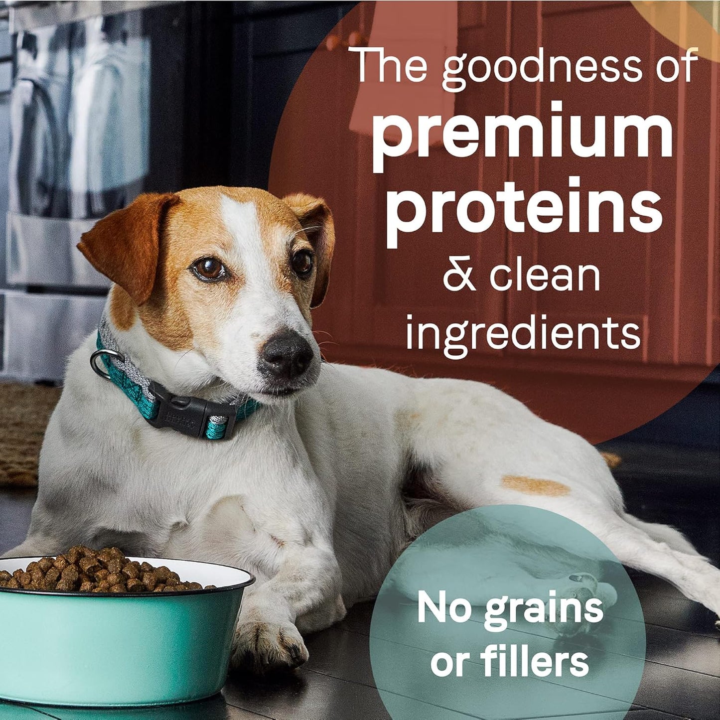 Canidae Pure Limited Ingredient Premium Adult Dry Dog Food, Real Bison, Lentil & Carrot Recipe, 4 lbs, Grain Free