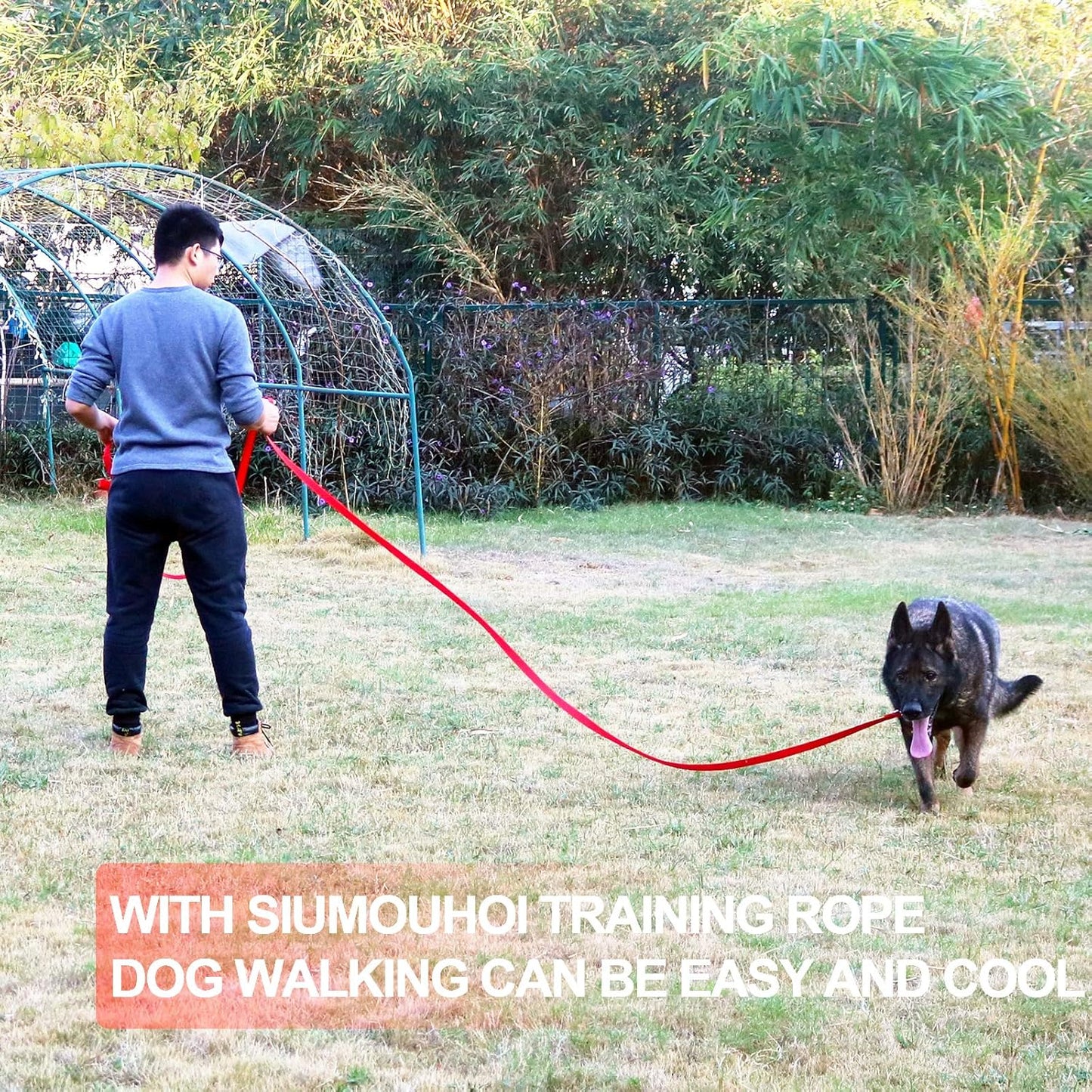 Siumouhoi Dog/Puppy Obedience Recall Training Agility Lead - 15ft 20ft 30ft 40ft 50ft Training Leash - Great for Play, Camping, or Backyard - Orange 40ft (40Feet, Orange)