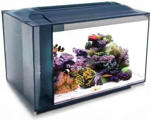 Fluval Evo XII Saltwater Aquarium Kit, 13.5 Gal. – Saltwater Fish Tank with Reef-Capable LED, Efficient 3-Stage Filtration and Seamlessly Integrated Hardware