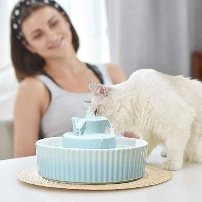 360 Ceramic Pet Fountain, Advanced Porcelain Cat Water Fountain, 70 oz.Drinking Fountains Bowl for Cat and Dogs with Replacement Filters and Foam (Green Blue)