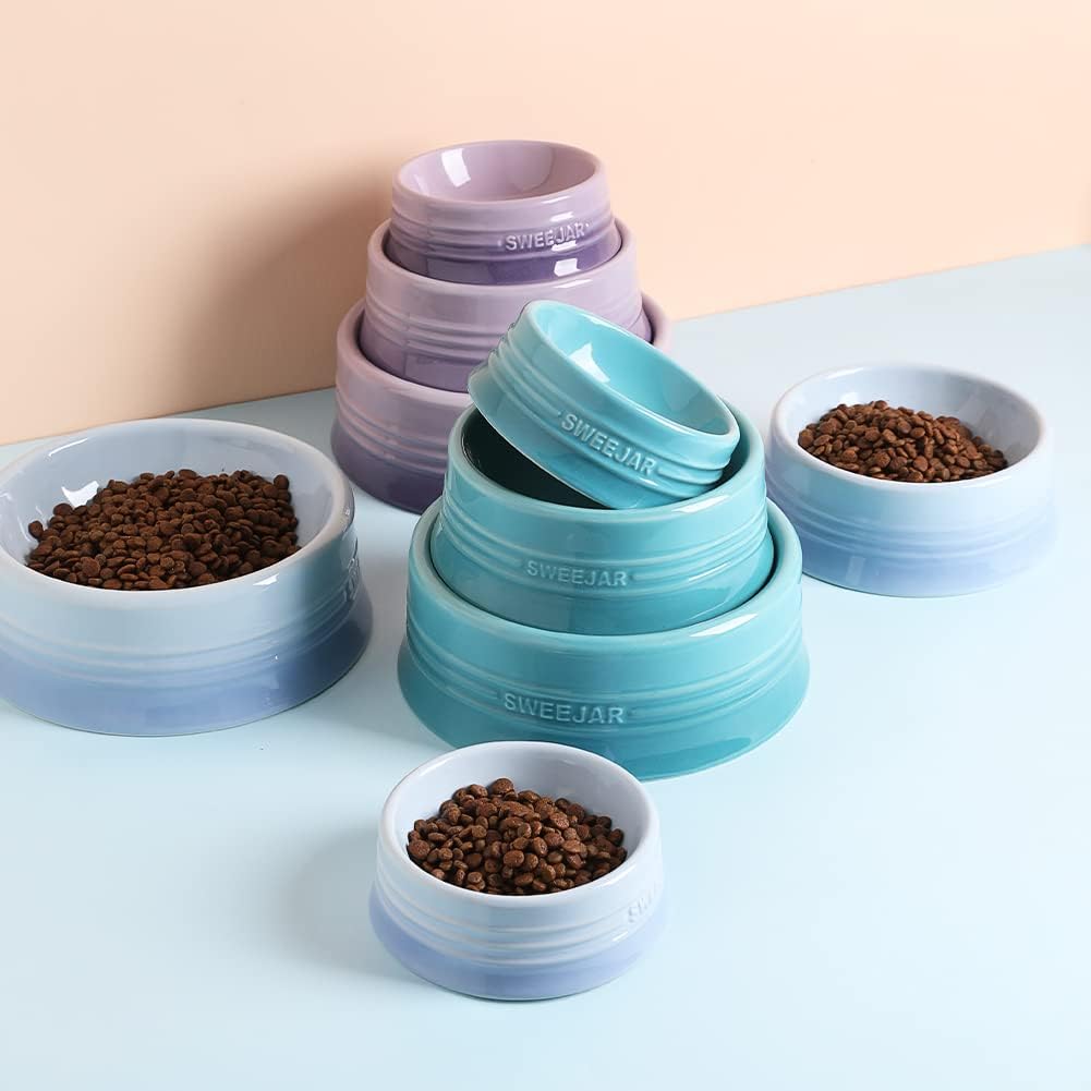 Sweejar Gradient Dog Bowl, Ceramic Dog Food Dish for Medium Dogs and Cat, Porcelain Pet Bowl for Food and Water 18 oz (Gradient Light Blue)