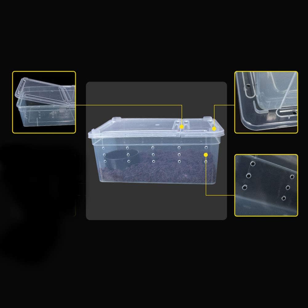 OMEM Portable Reptile Terrarium Habitat for Mini Pet Houses Breathable Holes Stackable Container (XS) - FurryFun