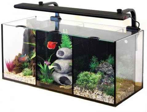 Aqua One Betta Trio, Black, 8.4 gallons