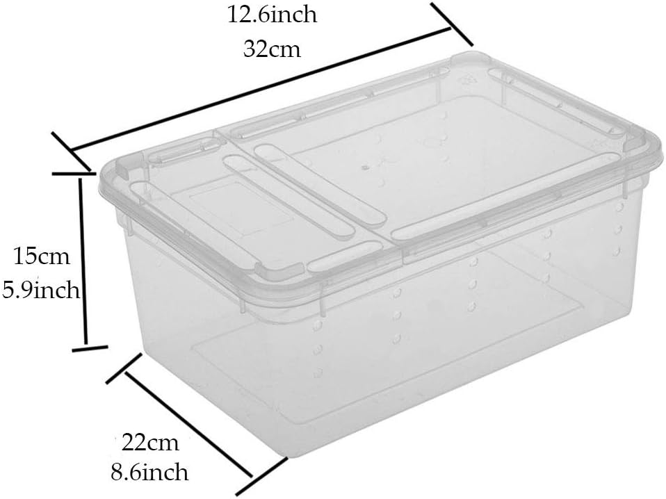 Hamiledyi Reptile Feeding Box Lizard Tarantula Habitat Cage Hatching Container Snake Breeding Box Transparent Portable Plastic Mini Pet Houses for Scorpion Spider Frog - FurryFun