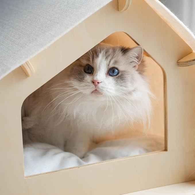 RAWRY Cat House – Covered Indoor Pet Bed with Cushion & Scratcher | Wood Cat Scratcher House for Cats, Kittens, Small Dogs