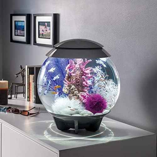 biOrb Halo 15 Acrylic 4-Gallon Aquarium with Multi-Color Remote-Controlled LED Lights, Gray