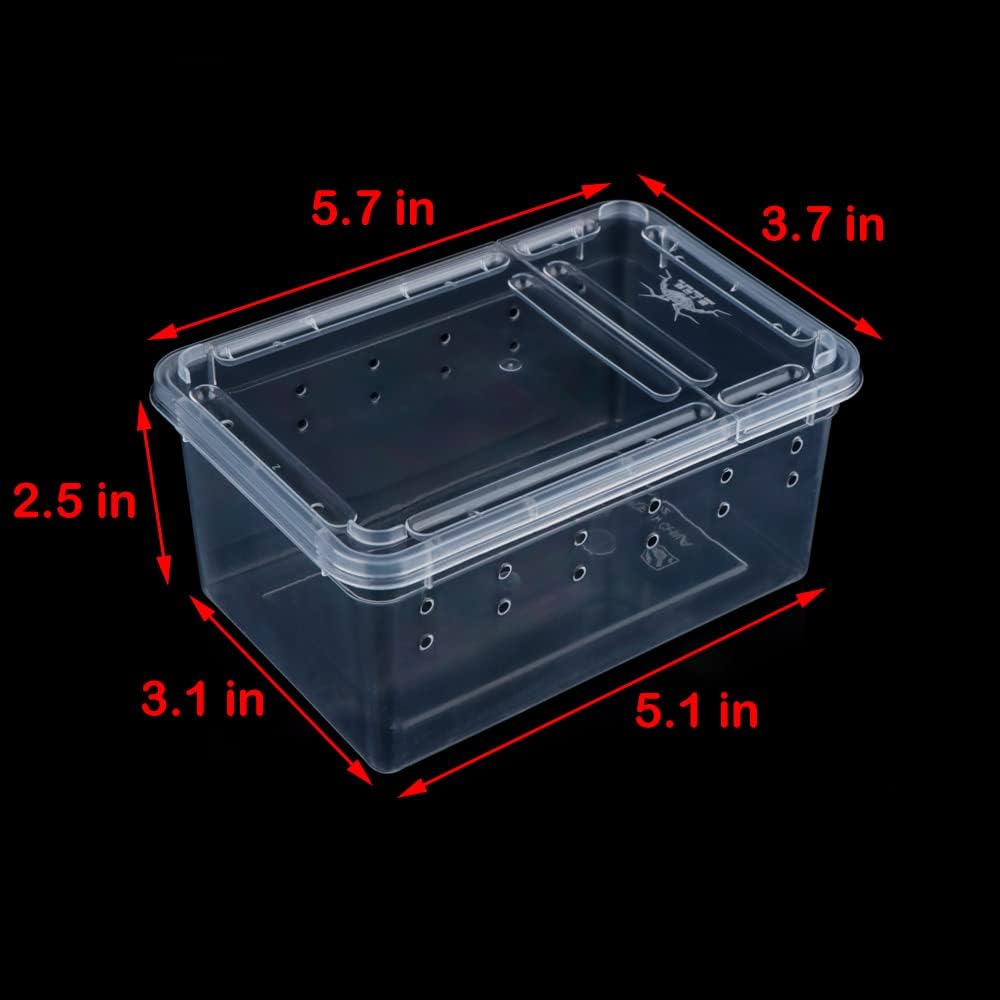 5 Pcs Spider Small Terrariums Breeding Box Transparent Hatching Container Plastic Feeding Box for Small Reptile Spider Scorpion Centipede Insect - FurryFun