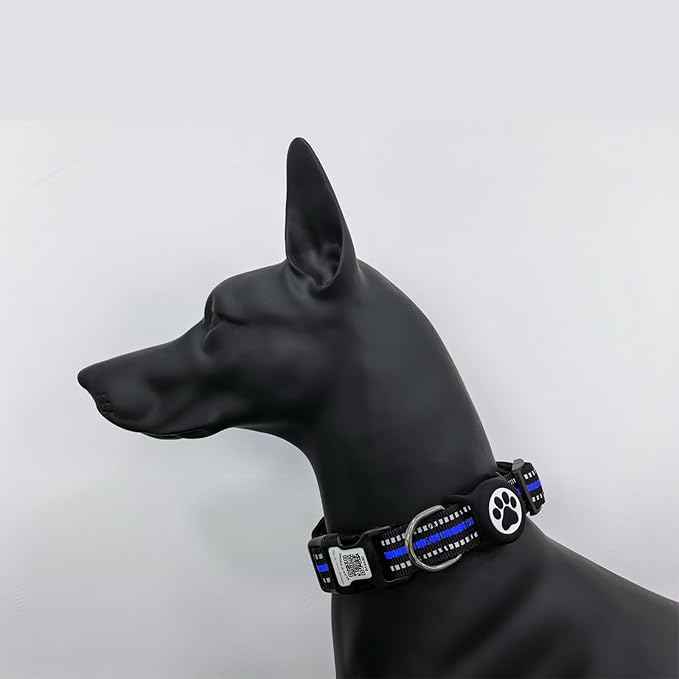 Reflective Dog Collar with QR Code, with Waterproof Holder, Soft Padded, Safety Locking Buckle, Durable, Adjustable & Free Pet Online Profile (Blue,M)