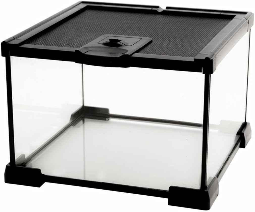 Mini Reptile Glass Terrarium Tank, cage for Tarantula Sling Geckos, Frog, Lizards, Chameleons,Turtles Snake Snail Insect Hermit Crab Isopods Reptiles Enclosure (7.9x7.9x5.7inch)
