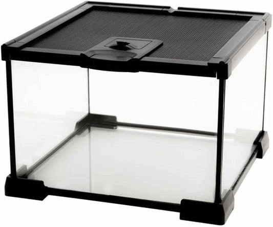 Mini Reptile Glass Terrarium Tank, cage for Tarantula Sling Geckos, Frog, Lizards, Chameleons,Turtles Snake Snail Insect Hermit Crab Isopods Reptiles Enclosure (7.9x7.9x5.7inch)