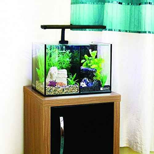 Aqua One Betta Trio, Black, 8.4 gallons