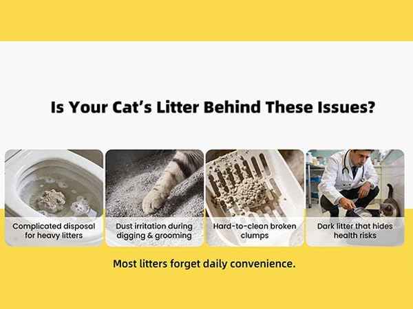 Tofu Cat Litter Flushable, Fast Clumping, Scoop Poop Easily, Less Dust, Less Tracking, Natural Non Toxic Cat Litter, Biodegradable cat Litte, sustainably Yours, I'm Gonna Pee(5.7lb x 1pack)