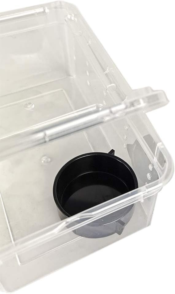 OMEM Portable Reptile Terrarium Habitat for Mini Pet Houses Breathable Holes Stackable Container (XS) - FurryFun