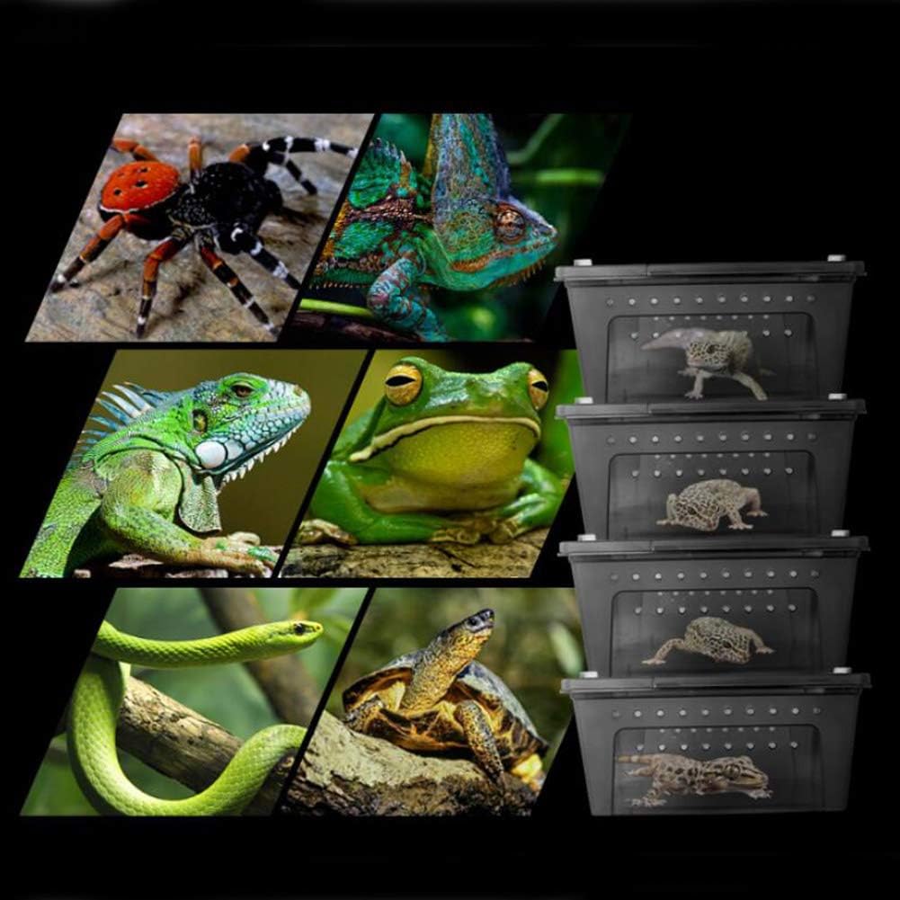 OMEM Portable Reptile Terrarium Habitat for Mini Pet Houses Breathable Holes Stackable Container (Black-L) - FurryFun