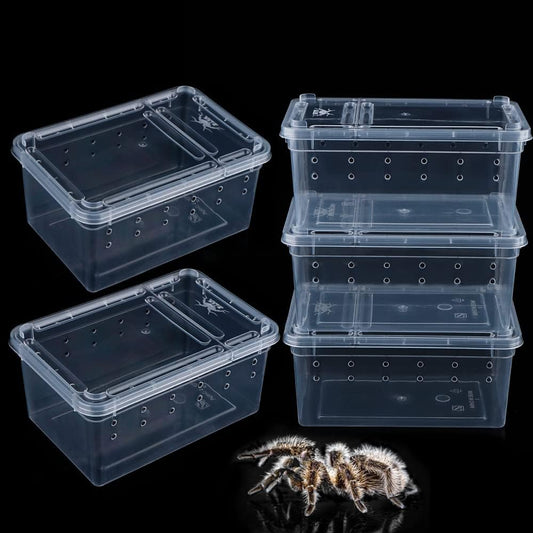 5 Pcs Spider Small Terrariums Breeding Box Transparent Hatching Container Plastic Feeding Box for Small Reptile Spider Scorpion Centipede Insect - FurryFun