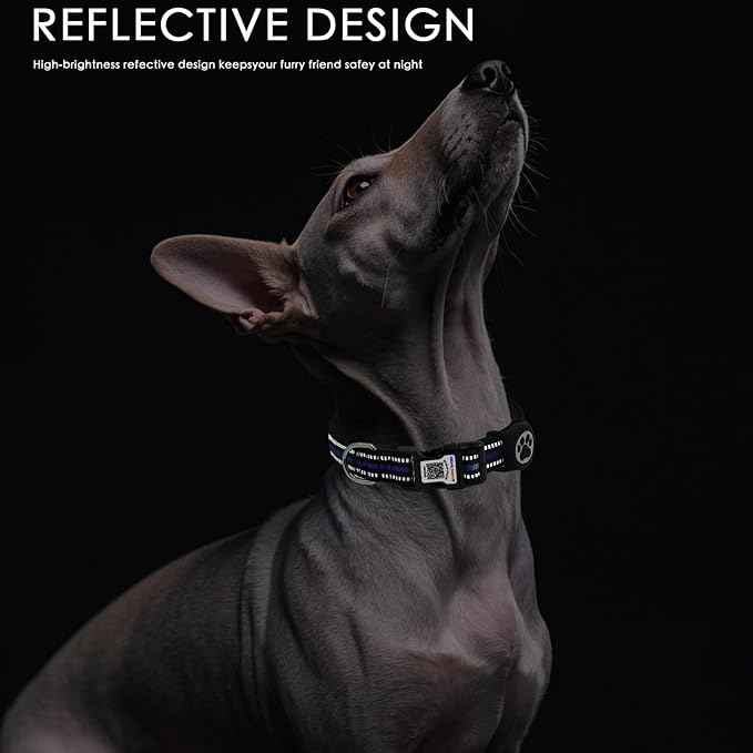 Airtag Dog Collar with QR Code Tag - Reflective Adjustable Nylon Collar, Quick Release Buckle for Small Medium Large Dogs, Comfortable Padded Lining (Blue, S)