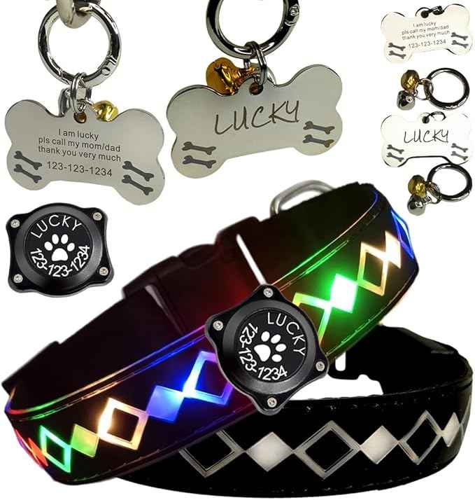LED Dog Collar with AirTag Holder and Custom ID Tag, 15 Light Modes, Waterproof, Multiple Colors (BLACK Pro, L(15.7-19.7"))