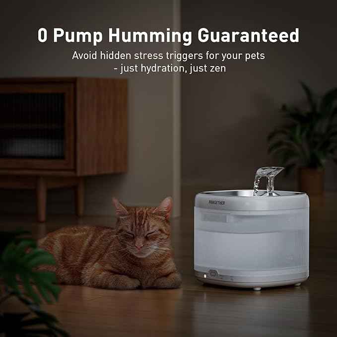 PAWGETHER® Cat Water Fountain, Ultra Quiet Pumpless Pet Water Fountain with Stainless Steel Tray, 67oz/2L Water Fountains for Cats Indoor with 360° Motion Sensor for Cats & Dogs (with Filter)